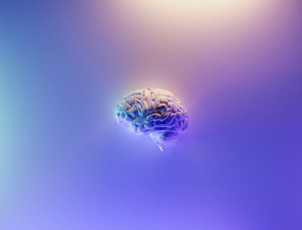 picture of brain on blue background